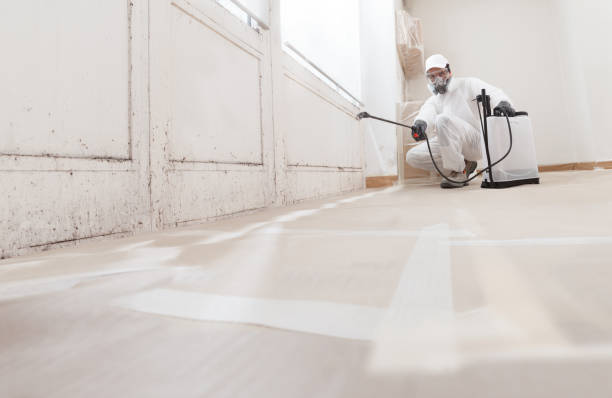 24/7 Emergency Mold Remediation experts in George Mason, VA
